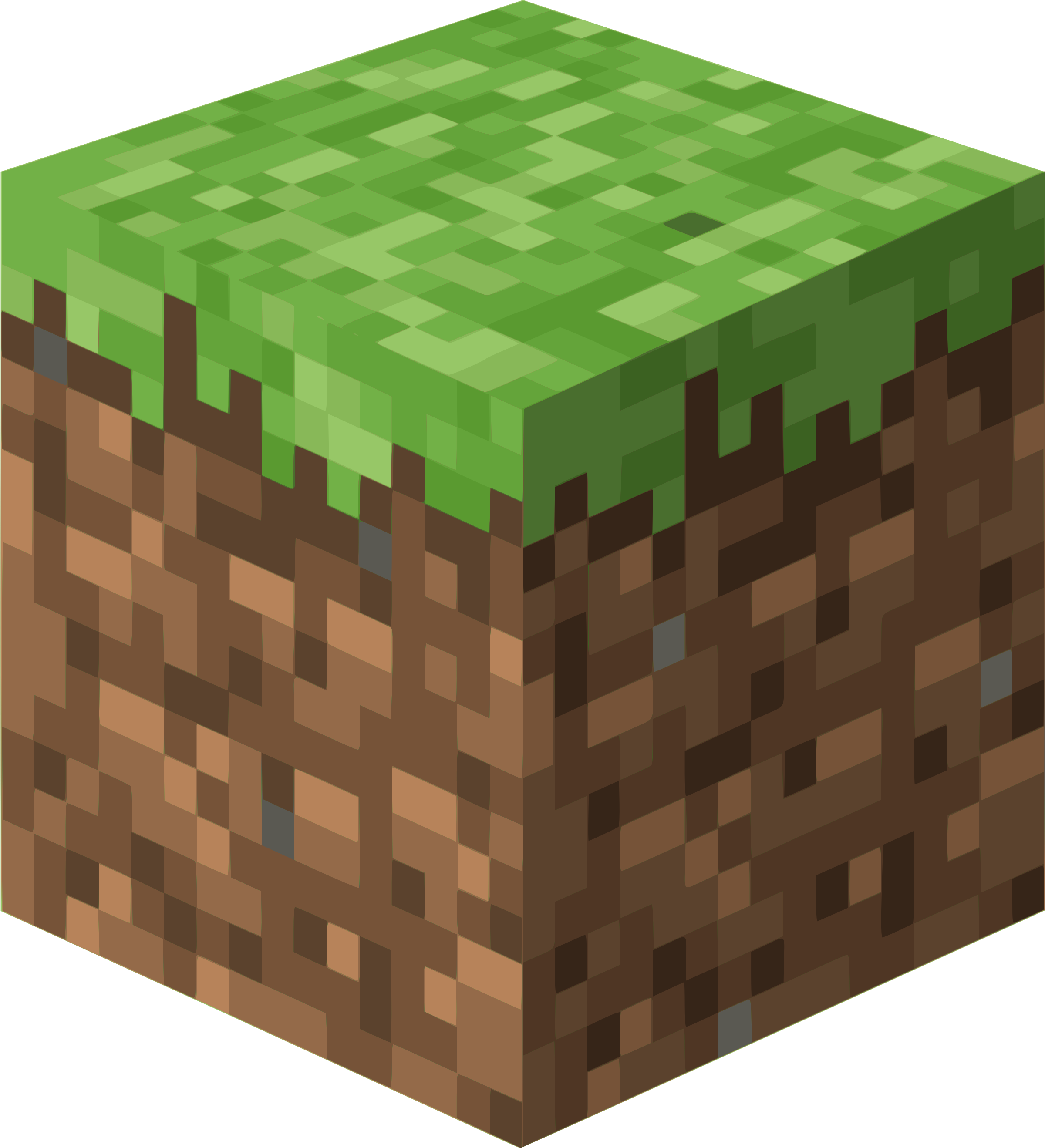 minecraftjava