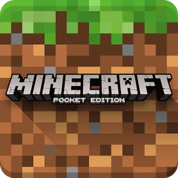 pocket